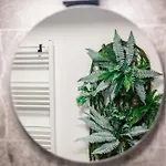 Apartment Leco *